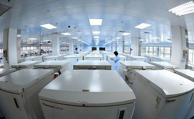 我國將制定臍帶血干細(xì)胞移植規(guī)范方案，推動技術(shù)開發(fā)與應(yīng)用